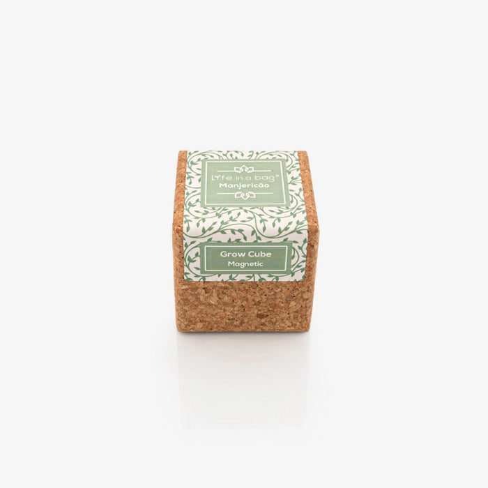 Grow Cube Albahaca