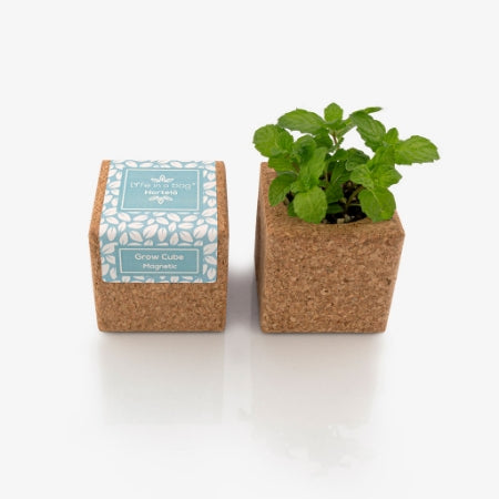 Grow Cube Menta