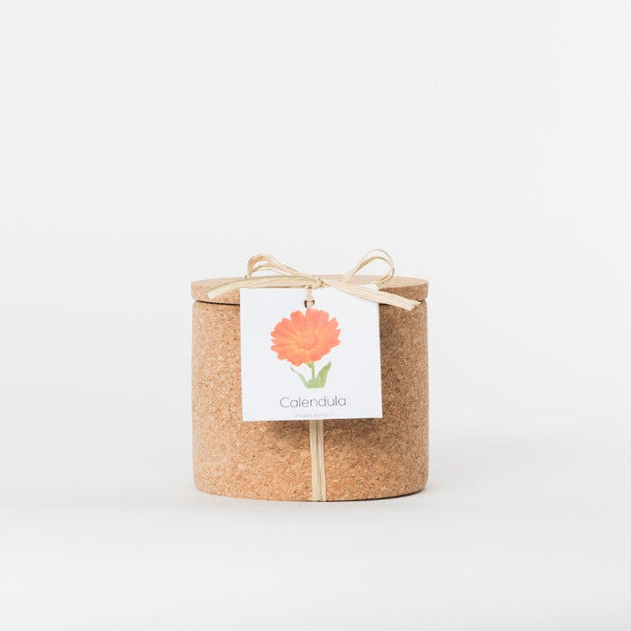 Maceta de Corcho con Semillas Calendulas