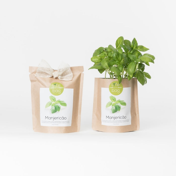 Semillas Albahaca