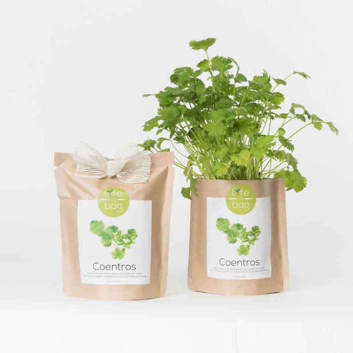 Semillas Cilantro
