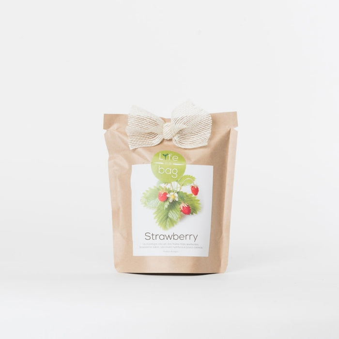 Strawberry Seeds