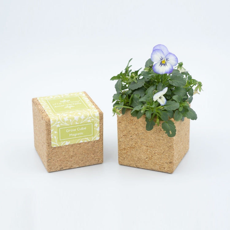 Plantas y Jardinería